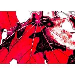 Akustiikkataulu Yeseco Quiet, 120x80cm, eri kuvia (myös omalla kuvalla)