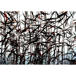 Akustiikkataulu Yeseco Quiet, 120x80cm, eri kuvia (myös omalla kuvalla)