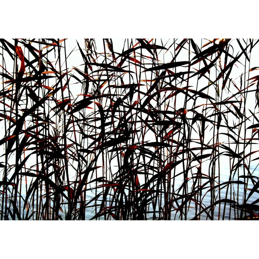 Akustiikkataulu Yeseco Quiet, 120x80cm, eri kuvia (myös omalla kuvalla)