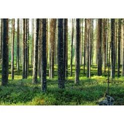 Akustiikkataulu Yeseco Quiet, 120x80cm, eri kuvia (myös omalla kuvalla)