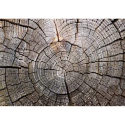 Akustiikkataulu Yeseco Quiet, 120x80cm, eri kuvia (myös omalla kuvalla)