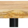 Baarijakkarat 2 kpl 52 cm täysi mangopuu