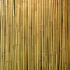 Bambuaita Home4you In Garden, 150x300cm