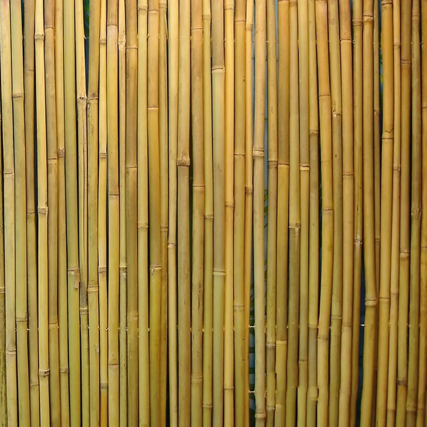 Bambuaita Home4you In Garden, 150x300cm