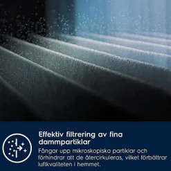 Hienopölysuodatin Electrolux EF162