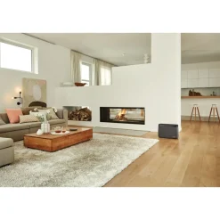 Ilmankostutin Stadler Form Karl Big 150 m² harmaa