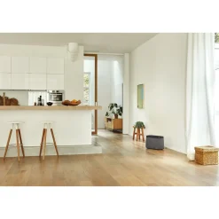 Ilmankostutin Stadler Form Karl Big 150 m² harmaa