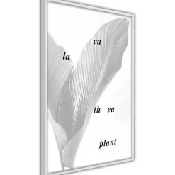 Juliste Artgeist Calathea Plant, kehyksillä, eri kokoja
