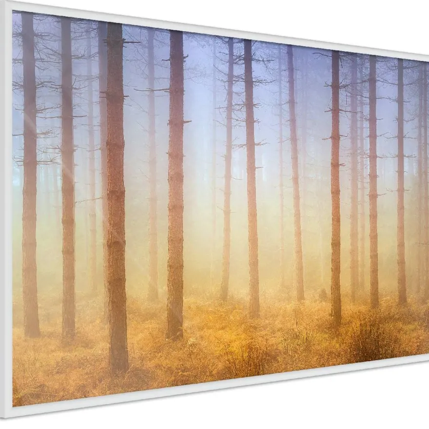 Juliste Artgeist Foggy Forest, kehyksillä, eri kokoja