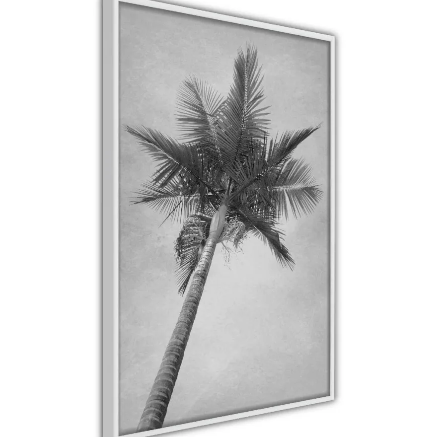 Juliste Artgeist High Palm Tree, kehyksillä, eri kokoja