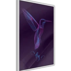 Juliste Artgeist Purple Hummingbird, kehyksillä, eri kokoja