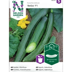 Kasvihuonekurkku Nelson Garden Bella F1, siemenet
