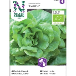 Keräsalaatti Nelson Garden Matilda Organic, siemenet