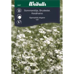 Kesäharsokukan siemenet Weibulls sommarslöja
