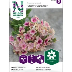 Kesäleimu Nelson Garden, Cherry Caramel, siemenet