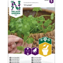 Korianteri Nelson Garden Cruiser, siemenet