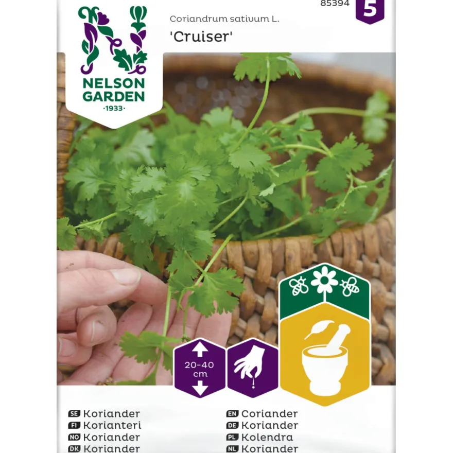 Korianteri Nelson Garden Cruiser, siemenet