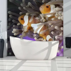 Kuvatapetti Artgeist Clownfish, eri kokoja