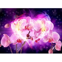 Kuvatapetti Artgeist Orchids in flames, eri kokoja
