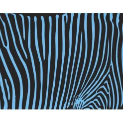 Kuvatapetti Artgeist Turquoise Zebra Pattern, eri kokoja