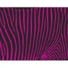 Kuvatapetti Artgeist Violet Zebra Pattern, eri kokoja