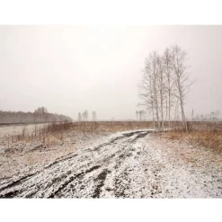 Kuvatapetti Artgeist Winter field, eri kokoja