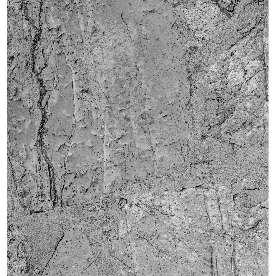 Kuvatapetti Dimex Wall Concrete, 225x250cm, harmaa