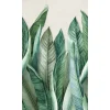 Kuvatapetti One Roll One Motif Bananier, 1.59x2.80m, non-woven