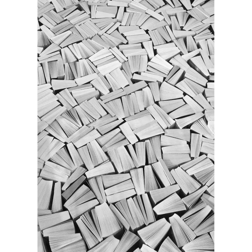 Kuvatapetti Rebel Walls Books White, non-woven, mittatilaus