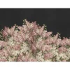 Kuvatapetti Rebel Walls Syringa Flowers musta, mittatilaus, non-woven