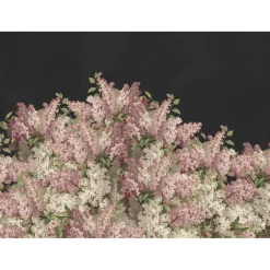 Kuvatapetti Rebel Walls Syringa Flowers musta, mittatilaus, non-woven