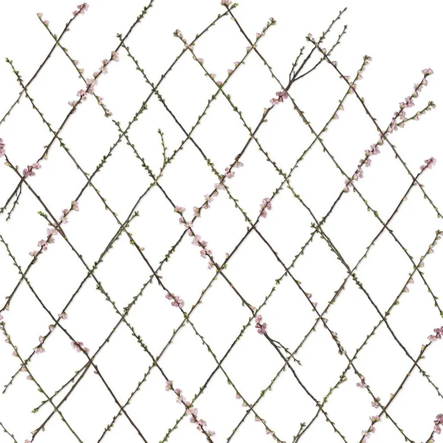 Kuvatapetti Rebel Walls Winding Spring, non-woven, mittatilaus