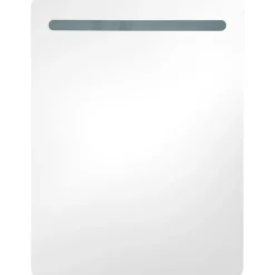 Kylpyhuoneen LED-peilikaappi, harmaa, 60x11x80cm