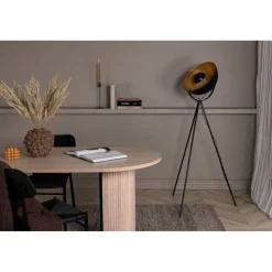 Lattiavalaisin Venture Home Search, 159cm, musta/messinki