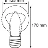 LED-filamenttilamppu Paulmann Lampion Globe, G125, E27, 400lm, 4.3W, 3000K, himmennettävä, valkoinen
