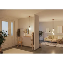 LED-filamenttilamppu Paulmann Lampion Globe, G125, E27, 400lm, 4.3W, 3000K, himmennettävä, valkoinen raita