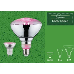 LED-kasvilamppu Paulmann Grow Green Edition Reflector, E14, R50, 100lm, 4W, 1300K, hopea