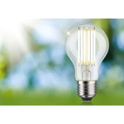 LED-lamppu Paulmann Eco-Line Filament E27 5W kirkas, eri vaihtoehtoja