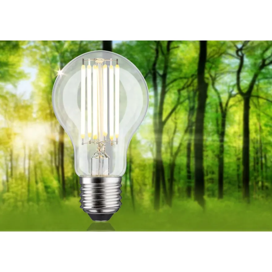 LED-lamppu Paulmann Eco-Line Filament E27 5W kirkas, eri vaihtoehtoja