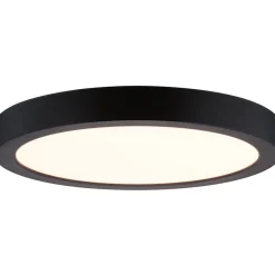 LED-paneeli Paulmann Abia 2 White Select hämäräohjatulla liiketunnistimella (HF) Ø300mm 14W 1000lm 2700-4000K