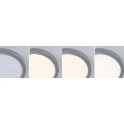 LED-paneeli Paulmann Abia 2 White Select hämäräohjatulla liiketunnistimella (HF) Ø300mm 14W 1000lm 2700-4000K