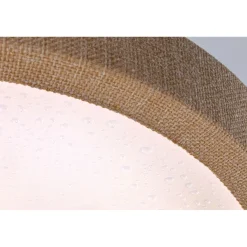 LED-paneeli Paulmann Cosara, IP44, Ø30cm, 15W, 4000K, eri värejä