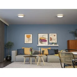 LED-paneeli Paulmann Cosara, IP44, Ø30cm, 15W, 4000K, eri värejä