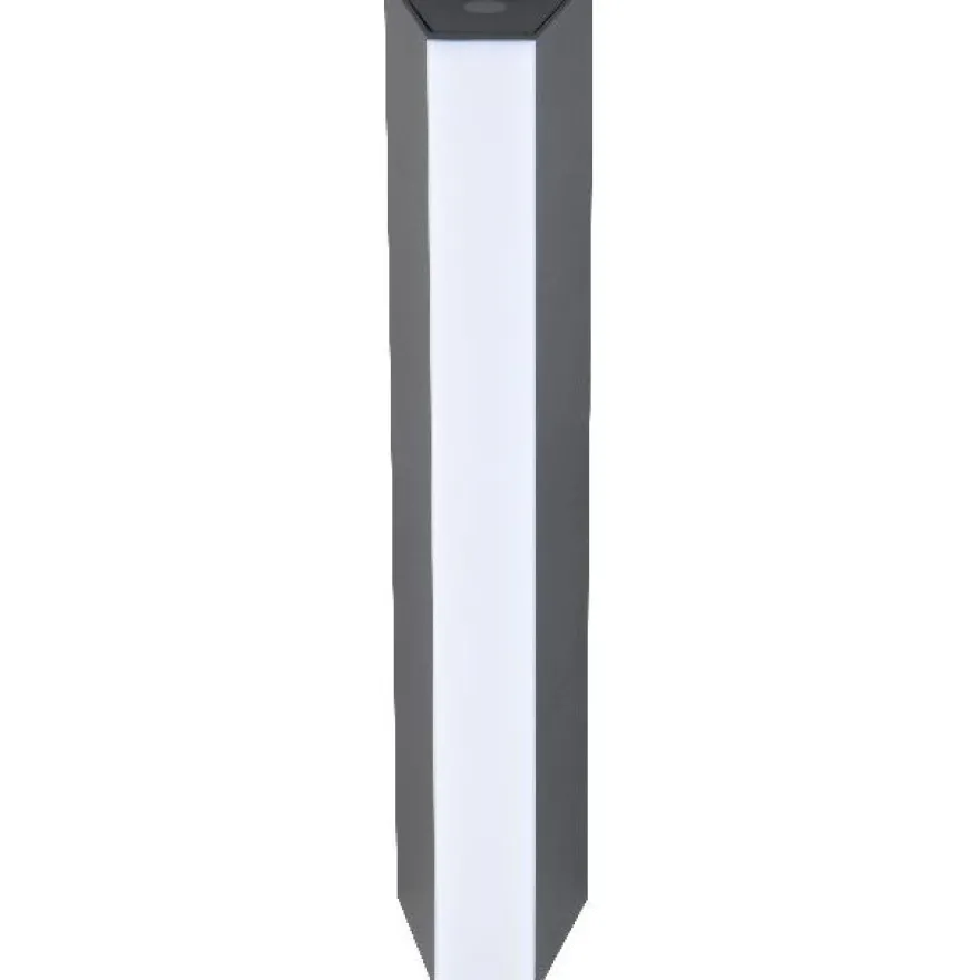 LED-seinävalaisin Trio Marne, 30cm, antrasiitti