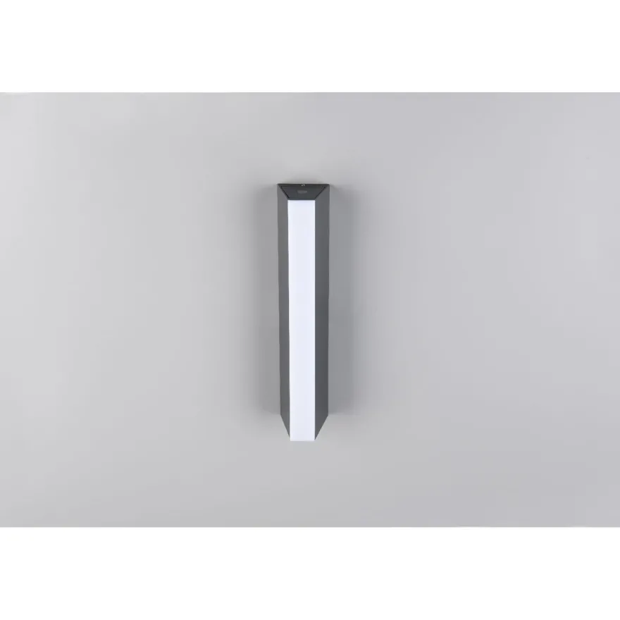 LED-seinävalaisin Trio Marne, 30cm, antrasiitti