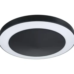 LED-ulkoseinävalaisin hämärätunnistimella Paulmann Circula, Smart Home Zigbee 3.0, IP44, 32cm, antrasiitti