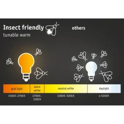 LED-ulkoseinävalaisin hämärätunnistimella Paulmann Circula, Smart Home Zigbee 3.0, IP44, 32cm, antrasiitti