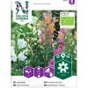 Leijonankita Nelson Garden seos Organic, siemenet