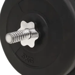 Levypainosarja, 30kg