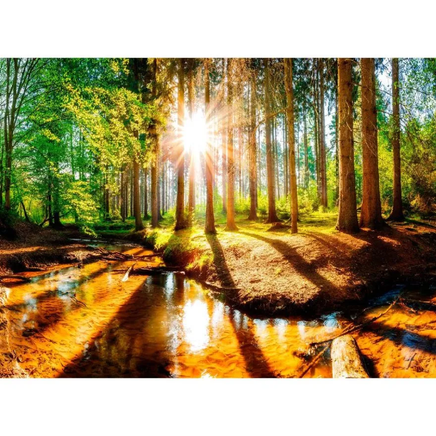 Maisematapetti Artgeist Marvelous Forest, metsä, eri kokoja